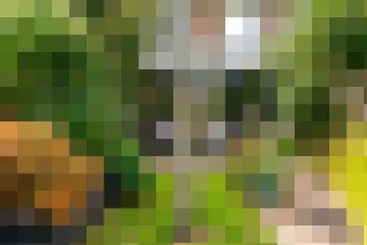 Willem de Zwijgerlaan 35 Leiderdorp thumbnail 47