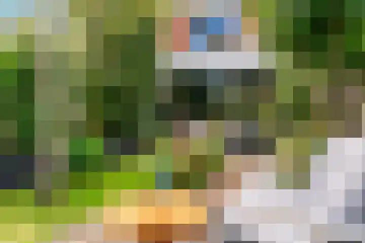Willem de Zwijgerlaan 35 Leiderdorp thumbnail 48