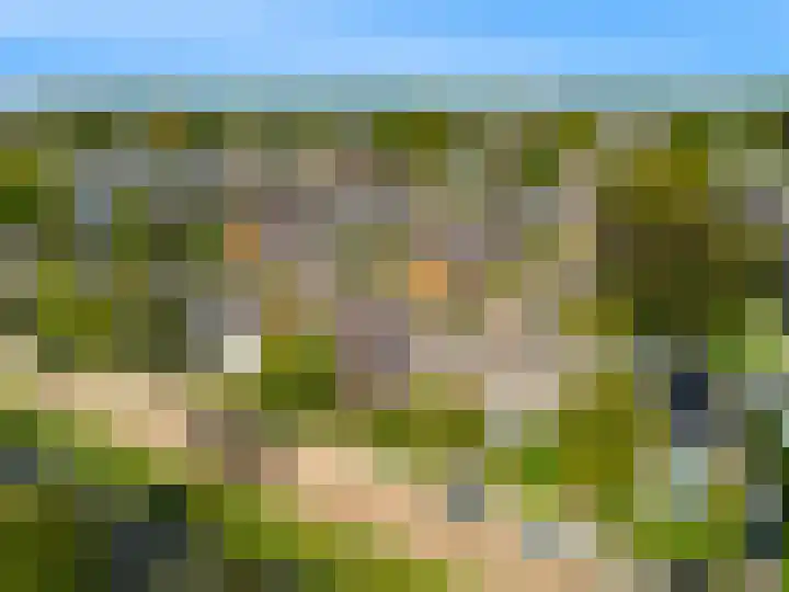 Willem de Zwijgerlaan 35 Leiderdorp thumbnail 51