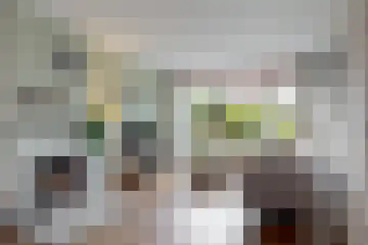 Willem de Zwijgerlaan 35 Leiderdorp thumbnail 8