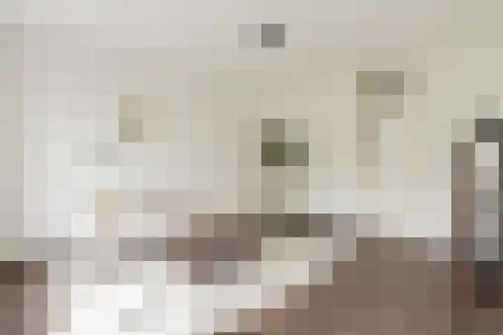 Willem de Zwijgerlaan 353 1 Amsterdam thumbnail 10