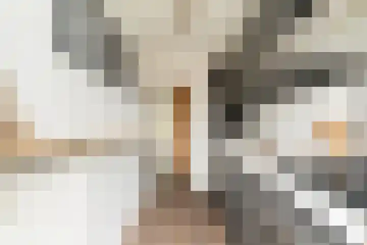 Willem de Zwijgerlaan 353 1 Amsterdam thumbnail 13