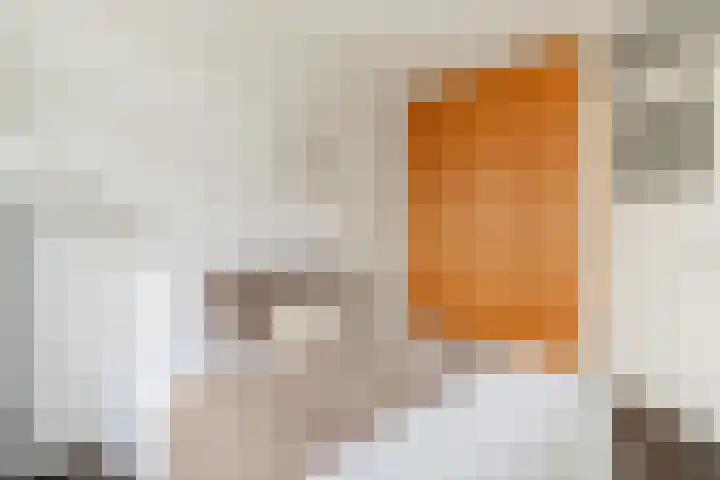 Willem de Zwijgerlaan 353 1 Amsterdam thumbnail 15