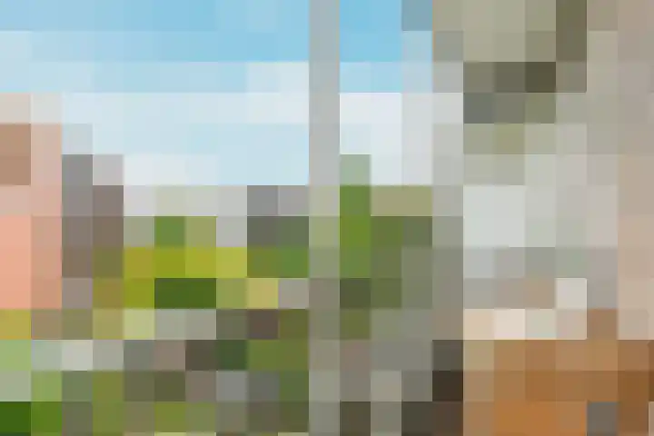 Willem de Zwijgerlaan 353 1 Amsterdam thumbnail 16