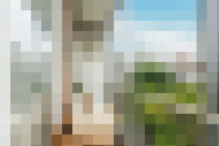 Willem de Zwijgerlaan 353 1 Amsterdam thumbnail 17
