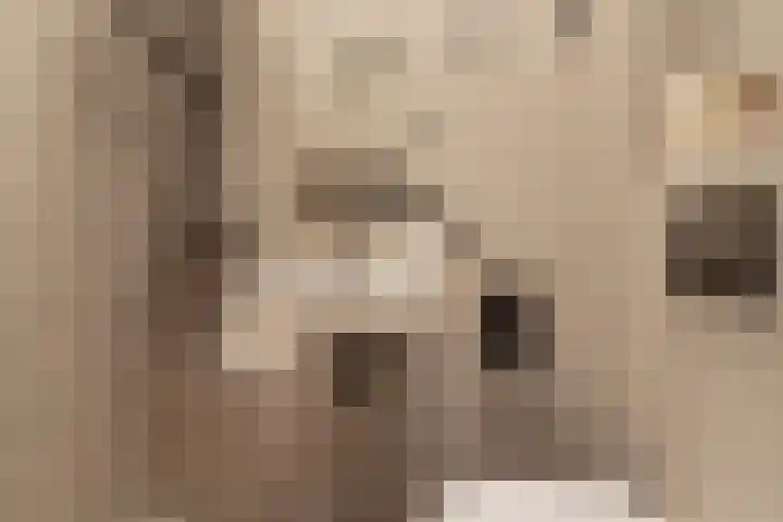 Willem de Zwijgerlaan 353 1 Amsterdam thumbnail 19
