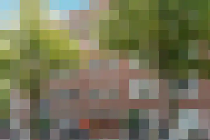 Willem de Zwijgerlaan 353 1 Amsterdam thumbnail 22