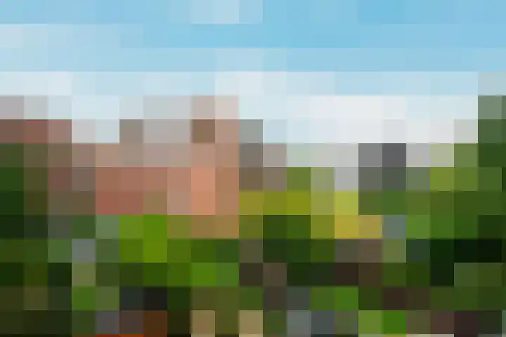 Willem de Zwijgerlaan 353 1 Amsterdam thumbnail 23