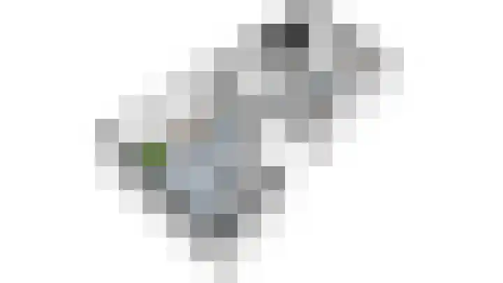Willem de Zwijgerlaan 353 1 Amsterdam thumbnail 34