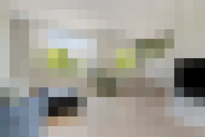 Willem de Zwijgerlaan 359 H Amsterdam thumbnail 34