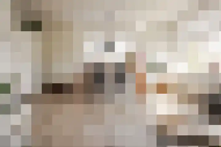 Willem de Zwijgerlaan 36 Overveen thumbnail 12