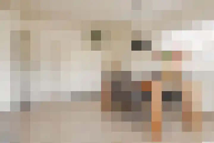 Willem de Zwijgerlaan 36 Overveen thumbnail 13