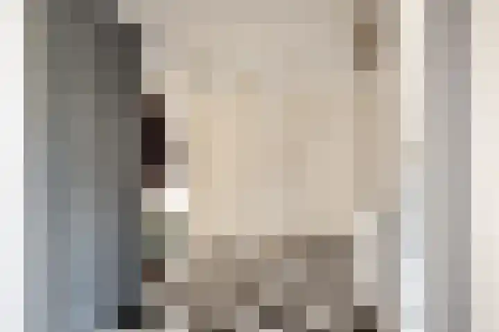 Willem de Zwijgerlaan 36 Overveen thumbnail 14