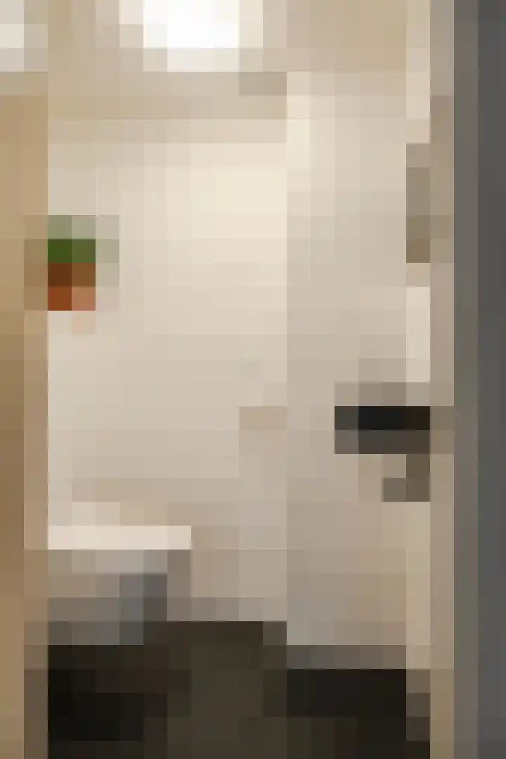 Willem de Zwijgerlaan 36 Overveen thumbnail 23