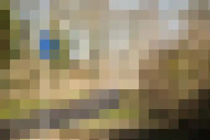 Willem de Zwijgerlaan 36 Overveen thumbnail 28