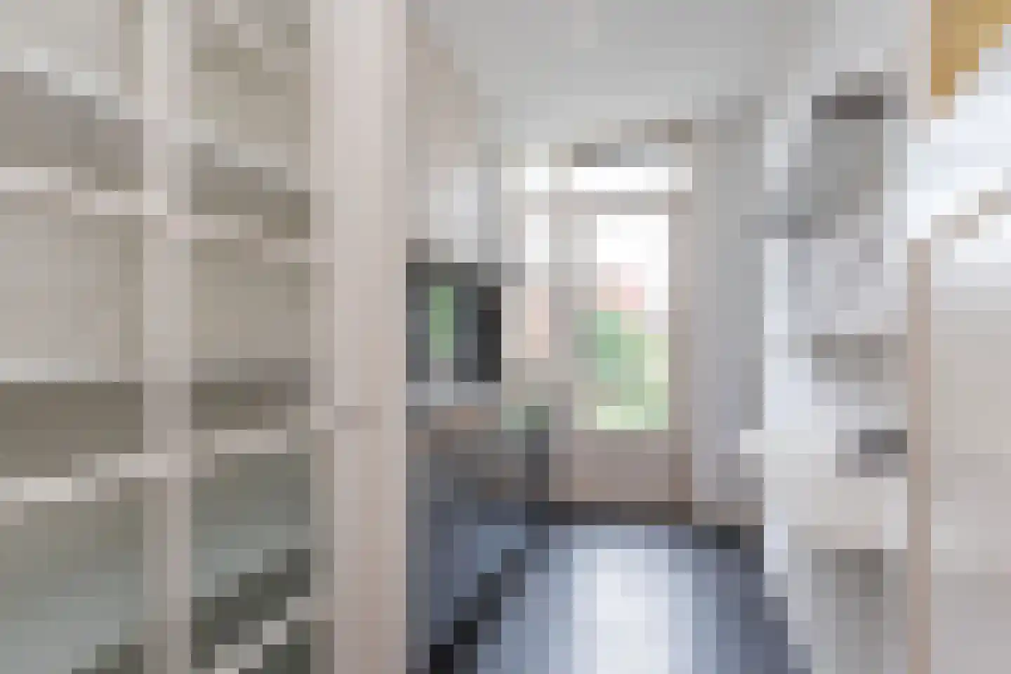 Willem de Zwijgerlaan 365 2 Amsterdam thumbnail 6