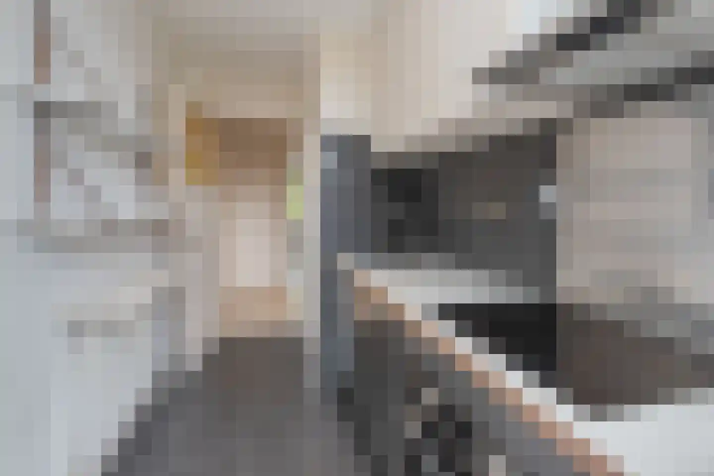 Willem de Zwijgerlaan 365 2 Amsterdam thumbnail 7
