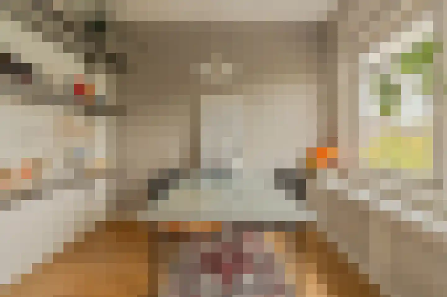 Willem de Zwijgerlaan 369 3 Amsterdam thumbnail 12