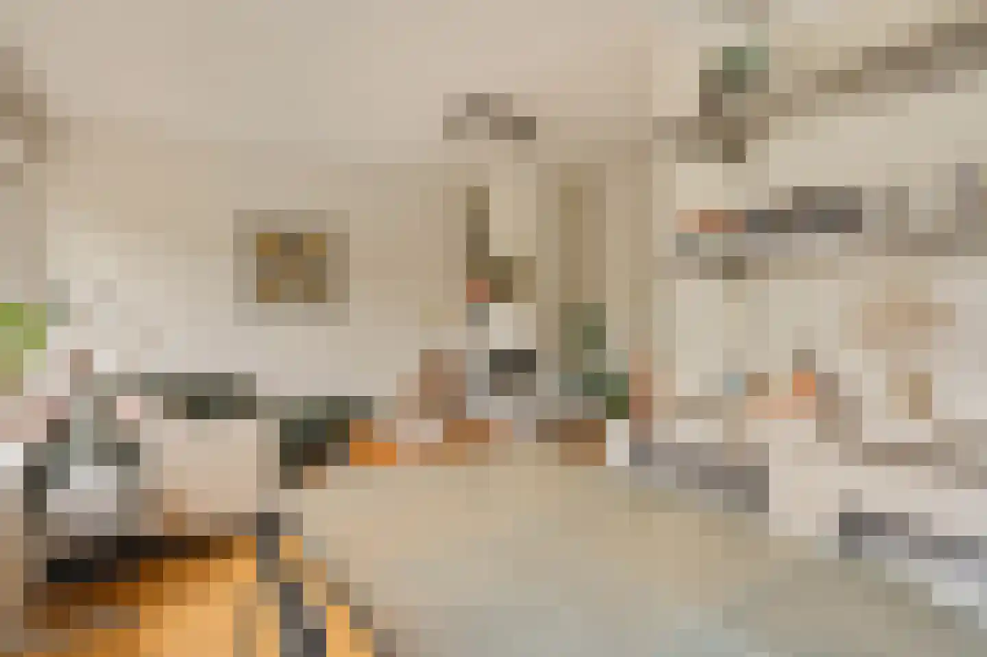 Willem de Zwijgerlaan 369 3 Amsterdam thumbnail 13
