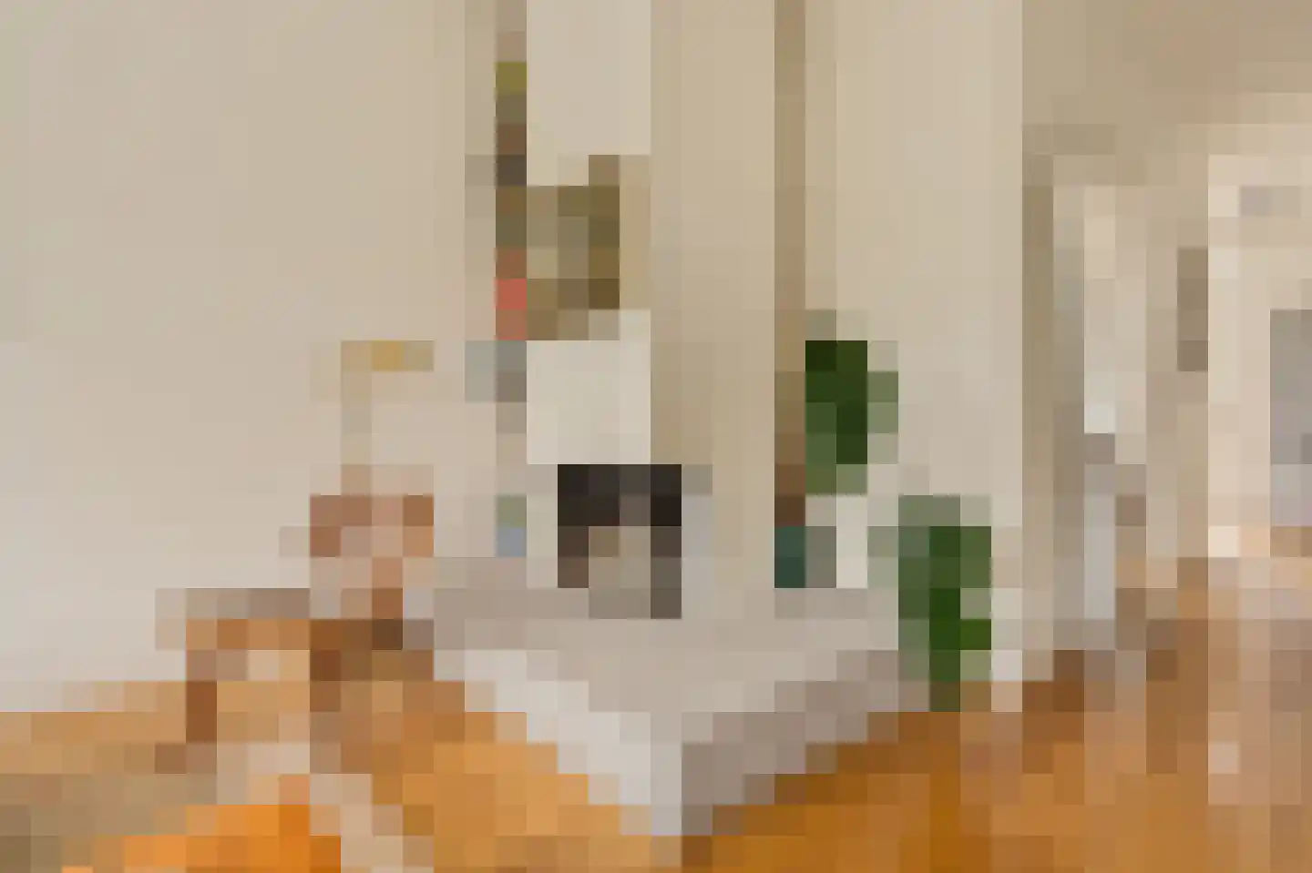 Willem de Zwijgerlaan 369 3 Amsterdam thumbnail 15