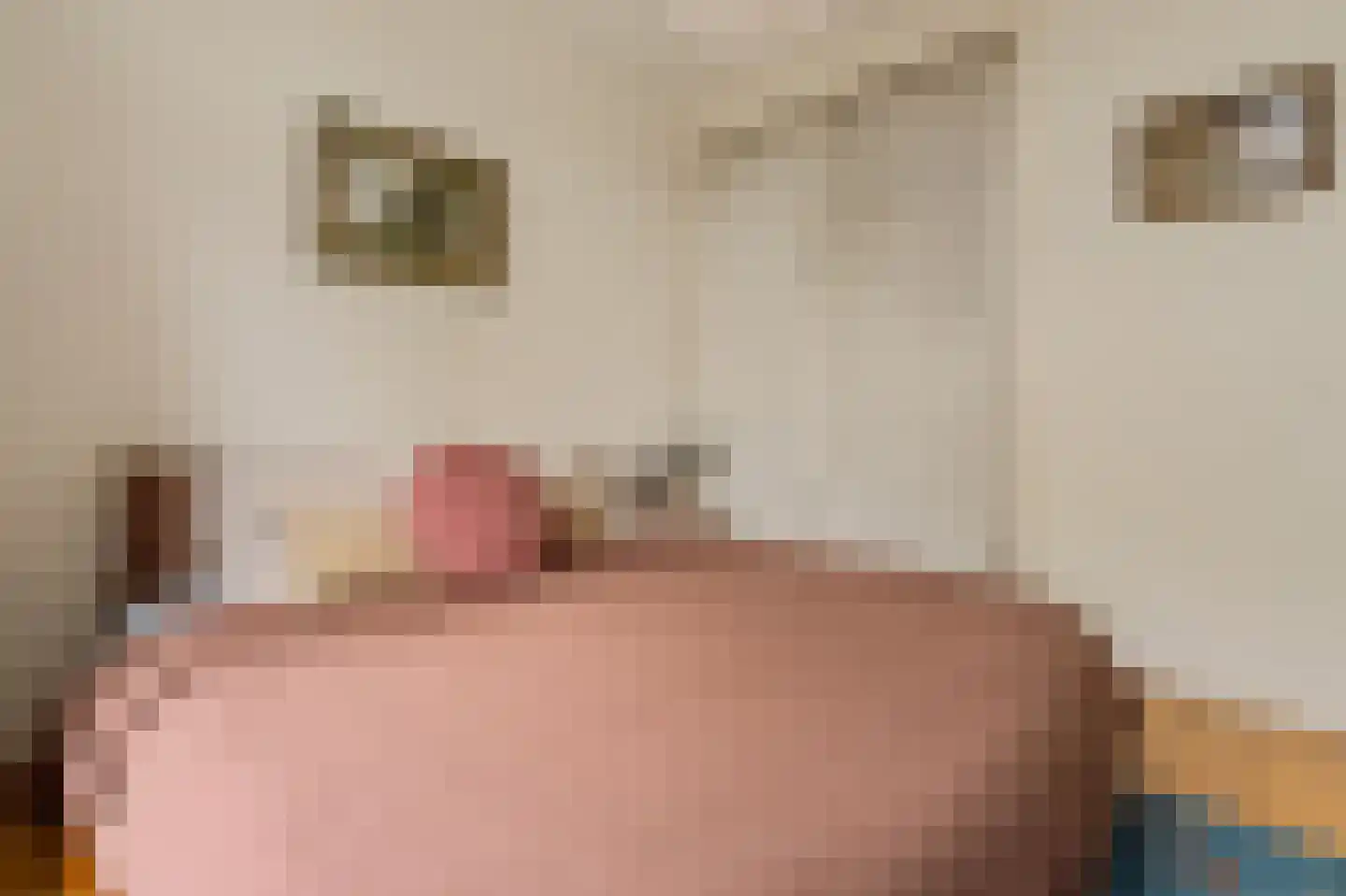 Willem de Zwijgerlaan 369 3 Amsterdam thumbnail 16