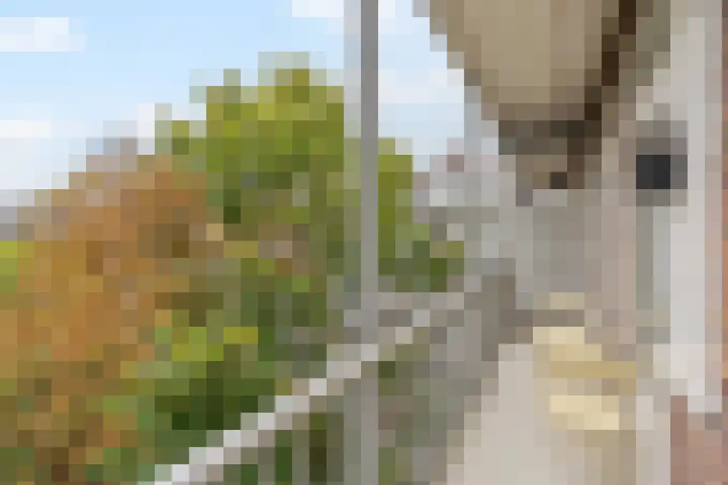 Willem de Zwijgerlaan 369 3 Amsterdam thumbnail 18