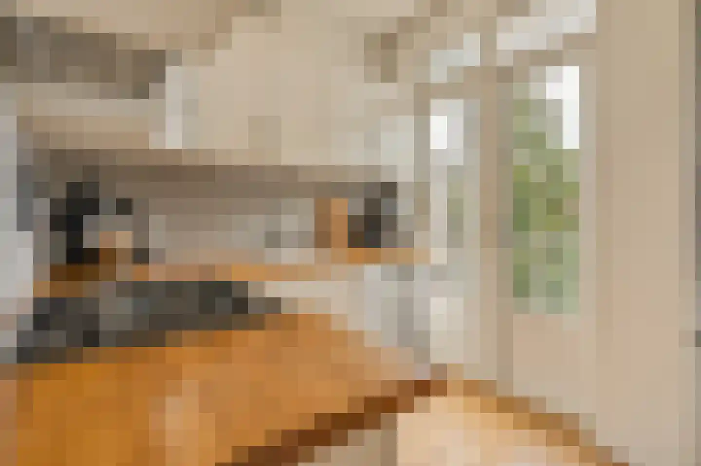 Willem de Zwijgerlaan 369 3 Amsterdam thumbnail 19