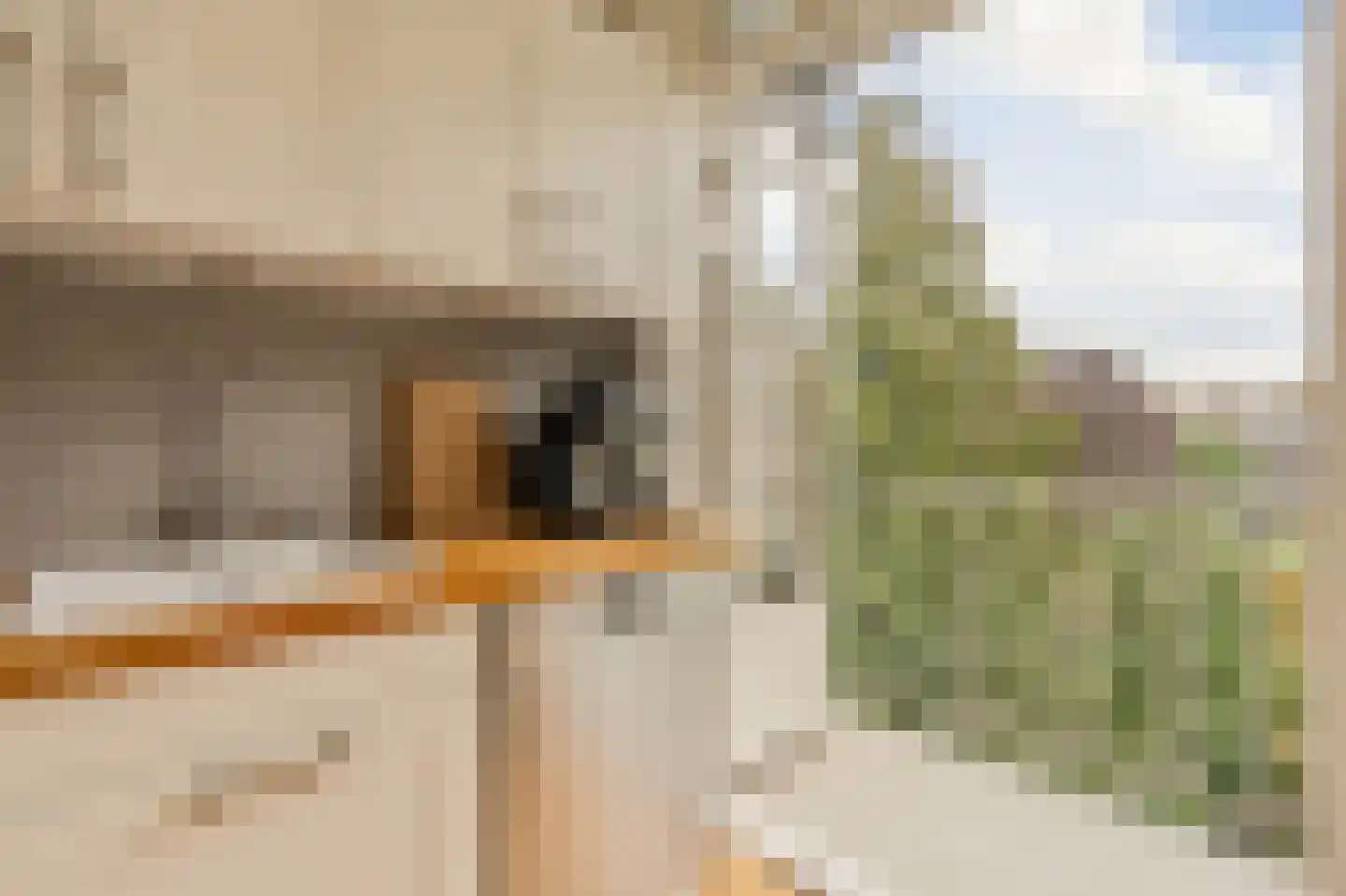 Willem de Zwijgerlaan 369 3 Amsterdam thumbnail 22