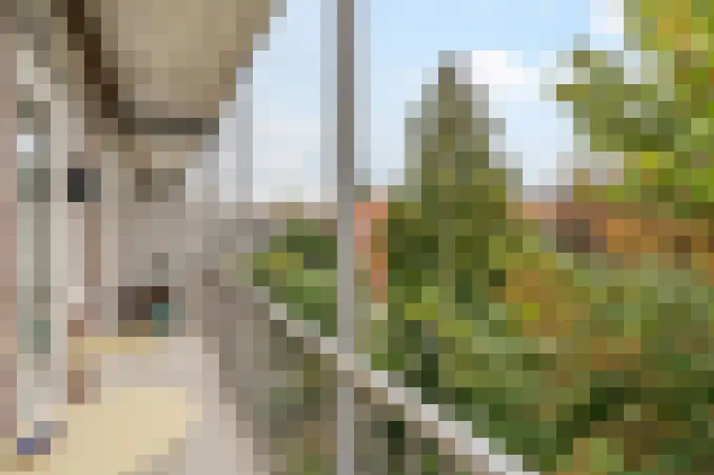 Willem de Zwijgerlaan 369 3 Amsterdam thumbnail 23