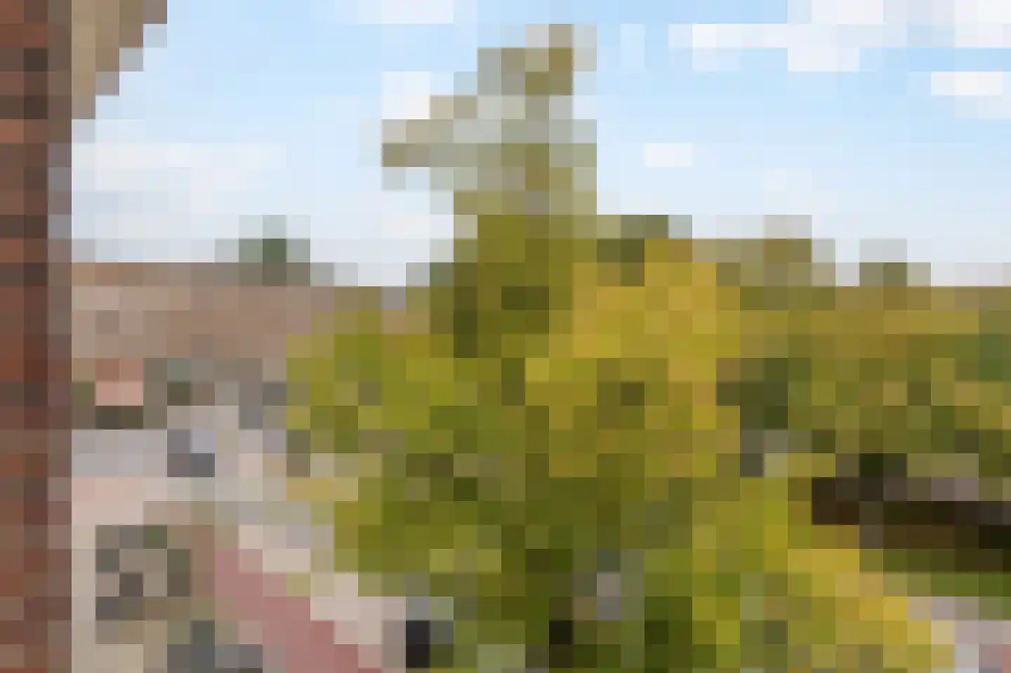 Willem de Zwijgerlaan 369 3 Amsterdam thumbnail 34