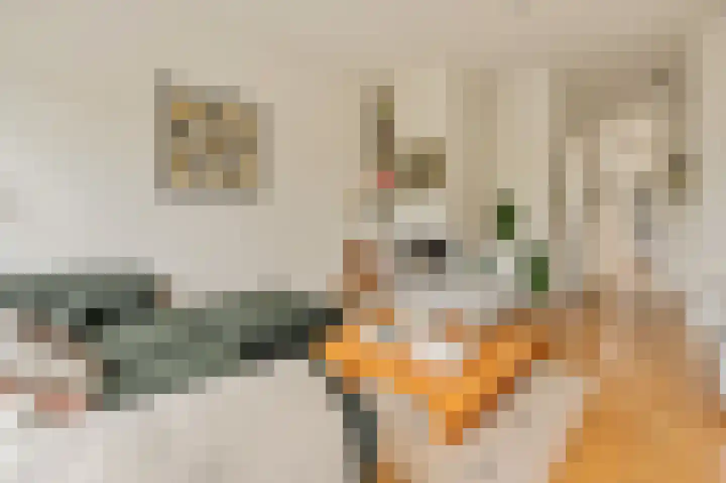Willem de Zwijgerlaan 369 3 Amsterdam thumbnail 4