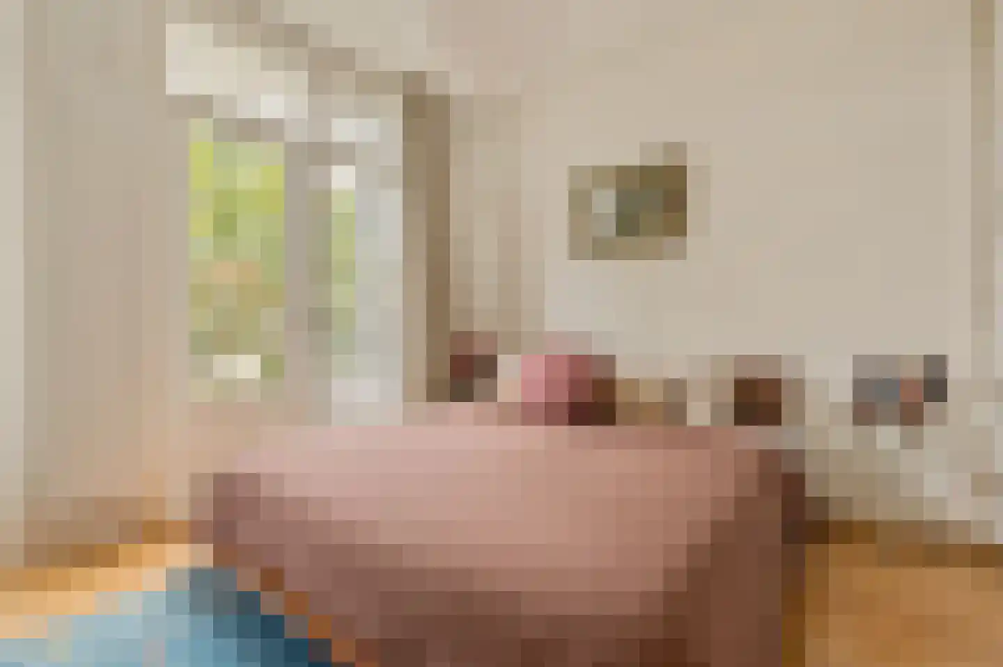 Willem de Zwijgerlaan 369 3 Amsterdam thumbnail 5