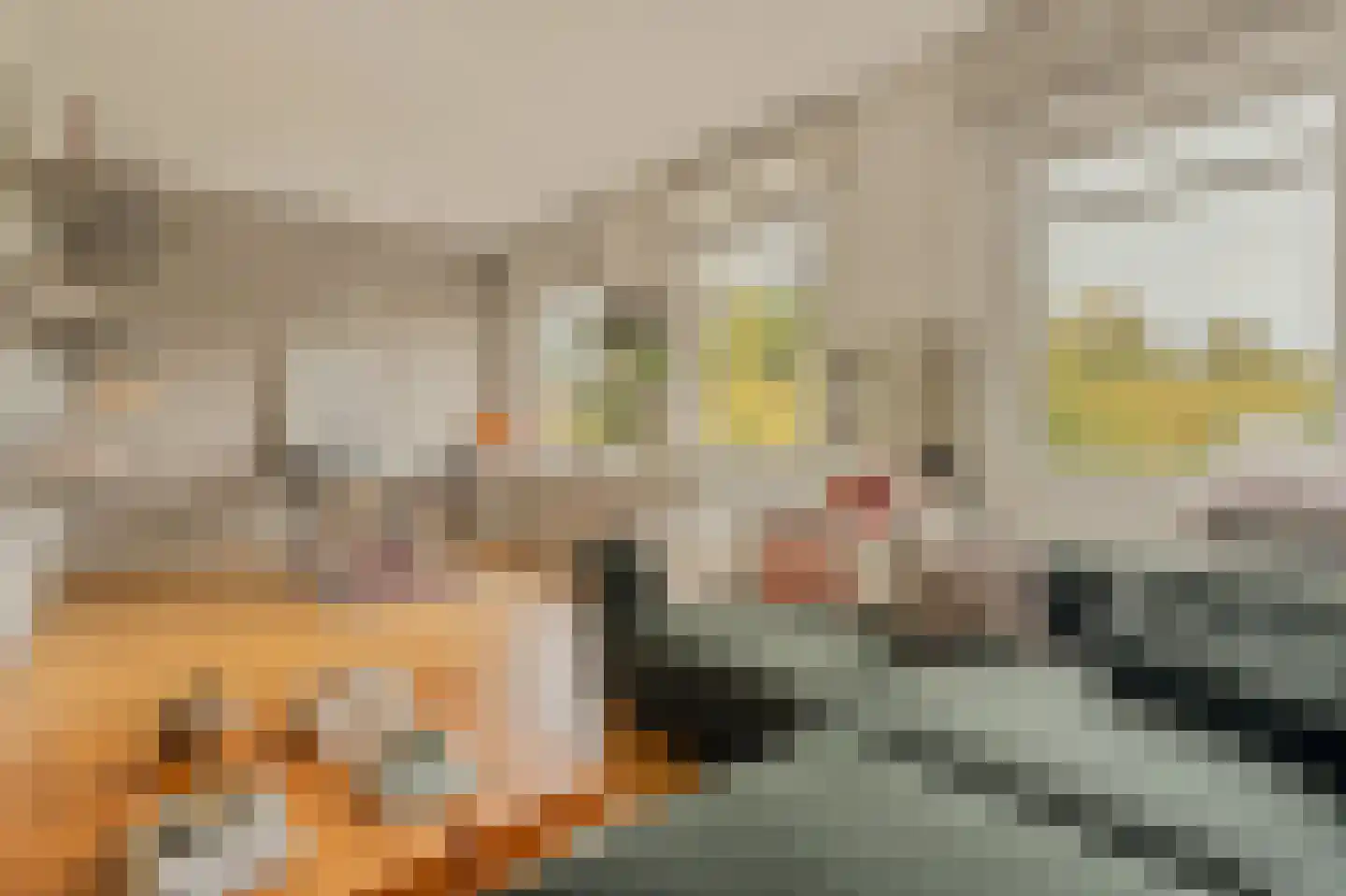 Willem de Zwijgerlaan 369 3 Amsterdam thumbnail 8