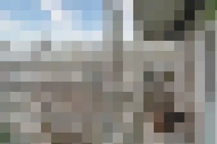 Willem de Zwijgerlaan 371 2 Amsterdam thumbnail 10