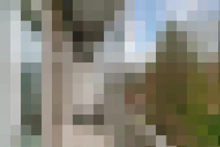 Willem de Zwijgerlaan 371 2 Amsterdam thumbnail 11