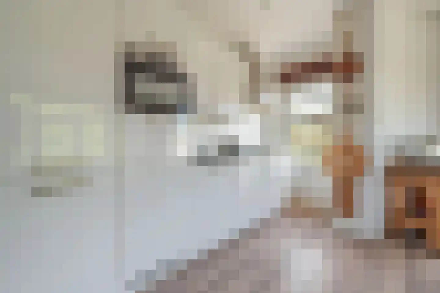 Willem de Zwijgerlaan 377 3 Amsterdam thumbnail 10