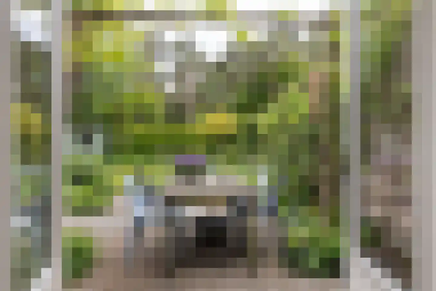 Willem de Zwijgerlaan 38 Bilthoven thumbnail 34