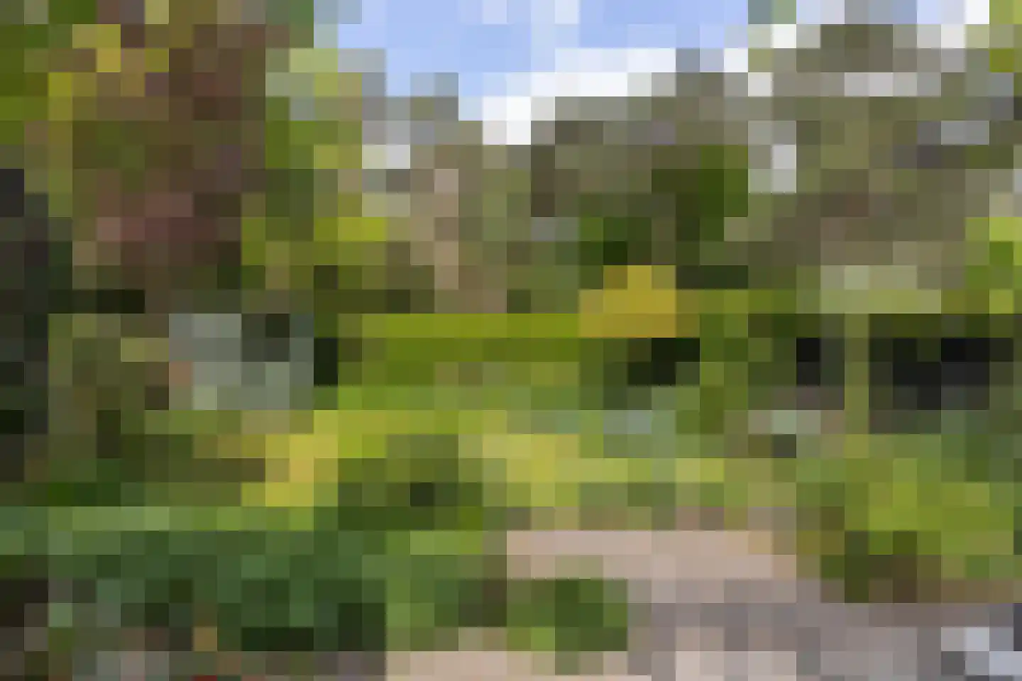 Willem de Zwijgerlaan 38 Bilthoven thumbnail 35