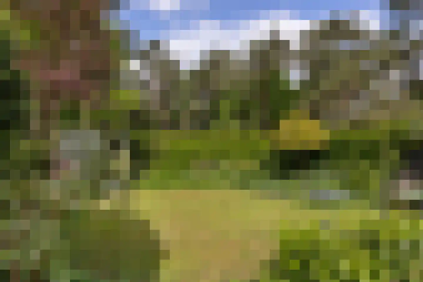 Willem de Zwijgerlaan 38 Bilthoven thumbnail 37