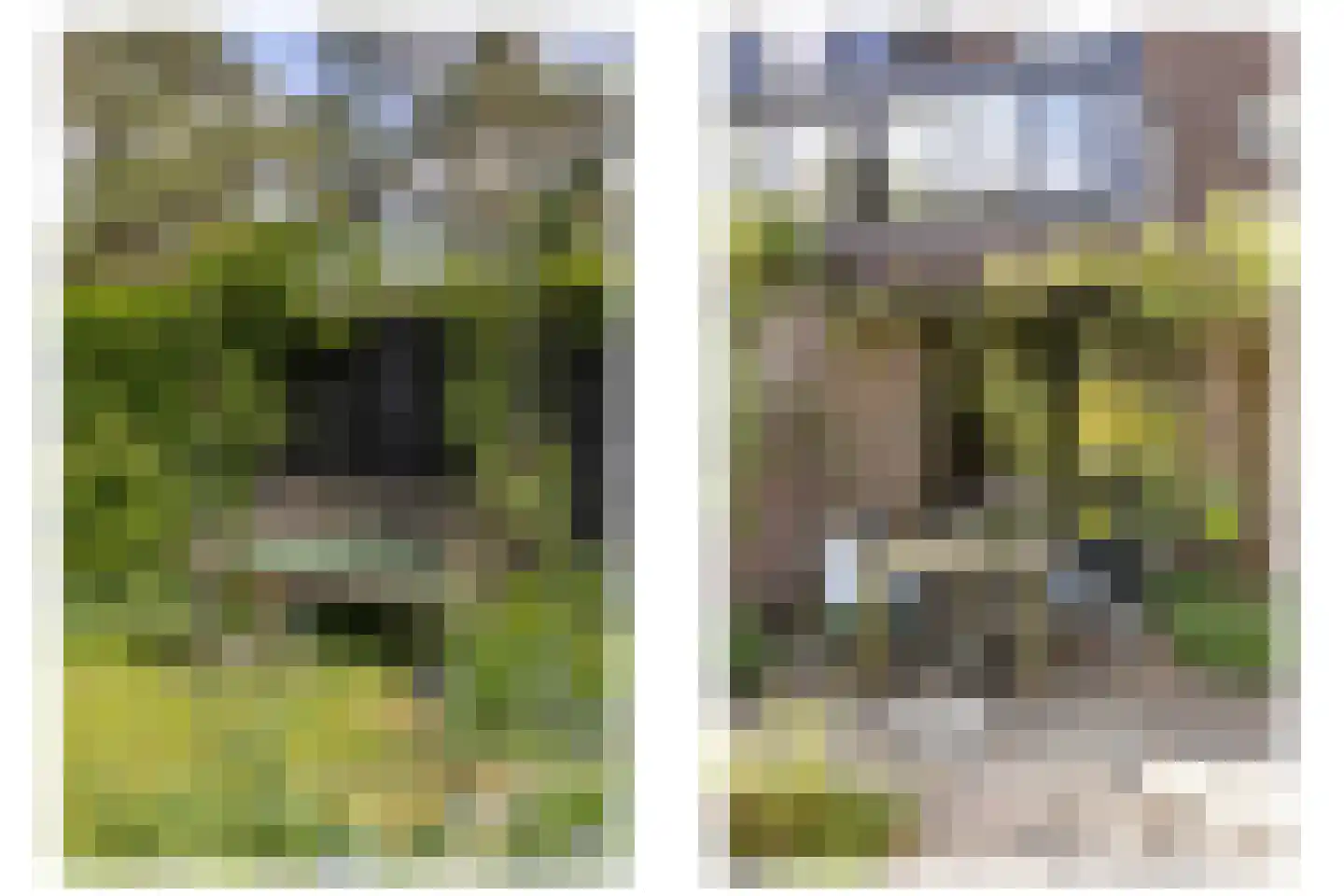 Willem de Zwijgerlaan 38 Bilthoven thumbnail 39