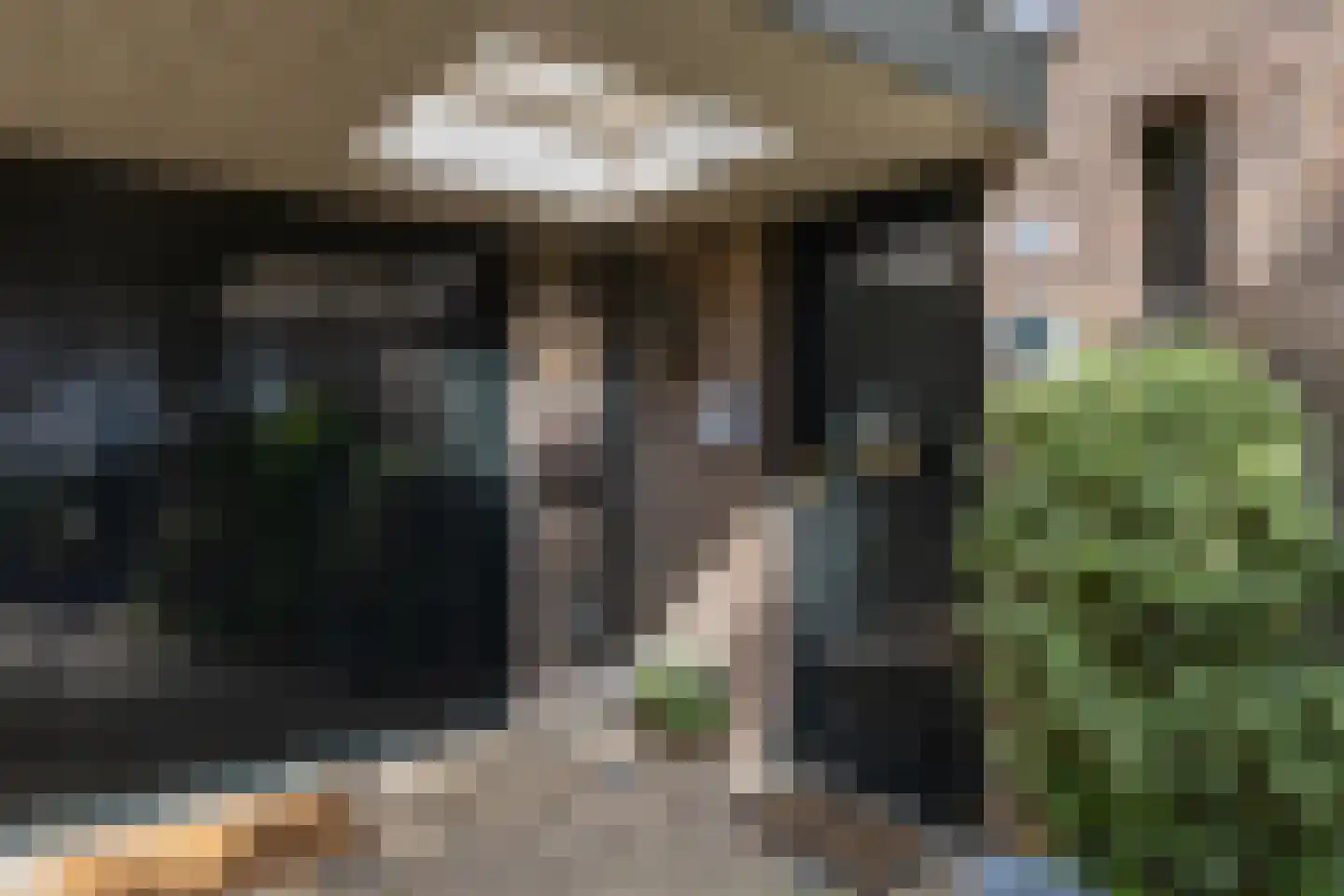 Willem de Zwijgerlaan 38 Bilthoven thumbnail 4