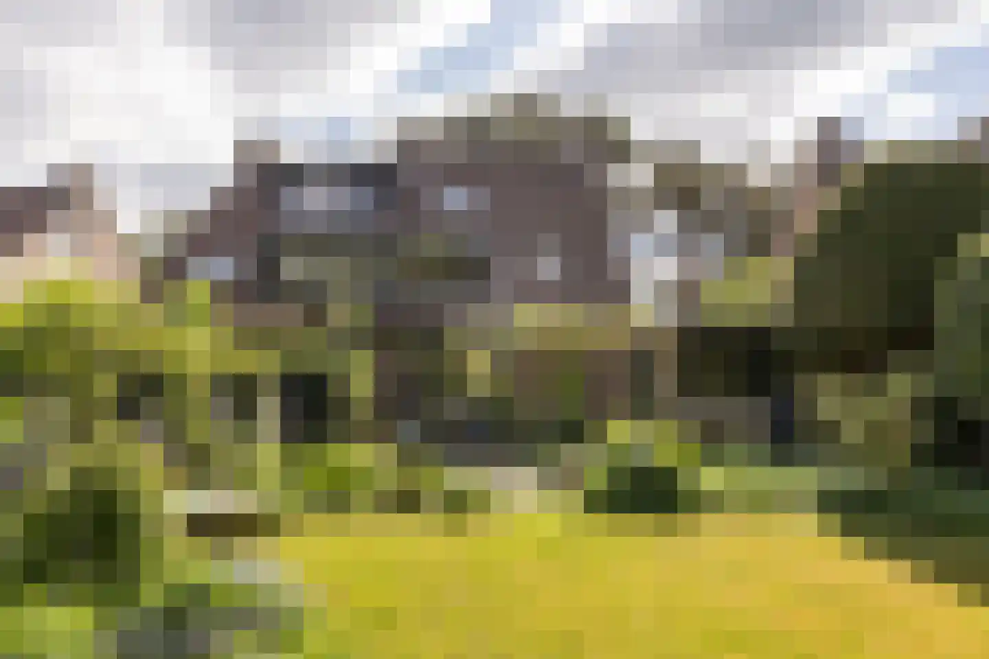 Willem de Zwijgerlaan 38 Bilthoven thumbnail 41