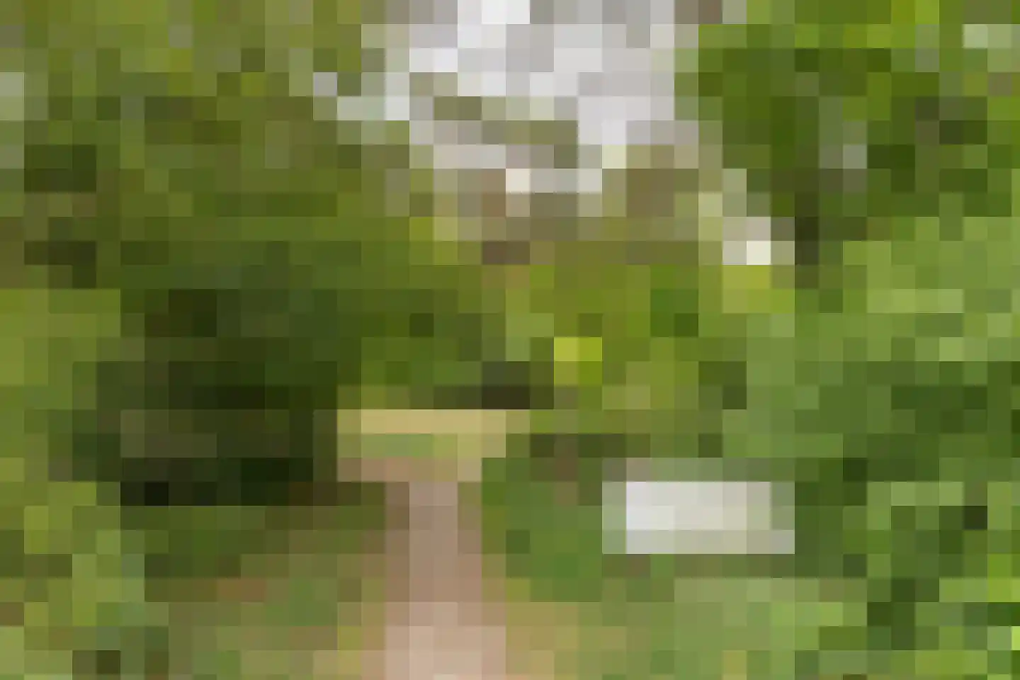 Willem de Zwijgerlaan 38 Bilthoven thumbnail 44
