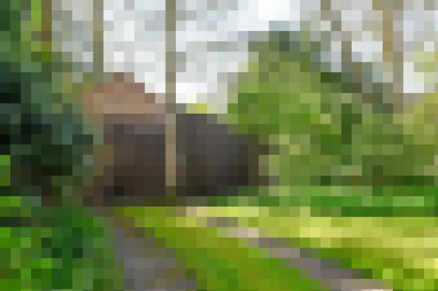 Willem de Zwijgerlaan 38 Santpoort-Zuid thumbnail 34
