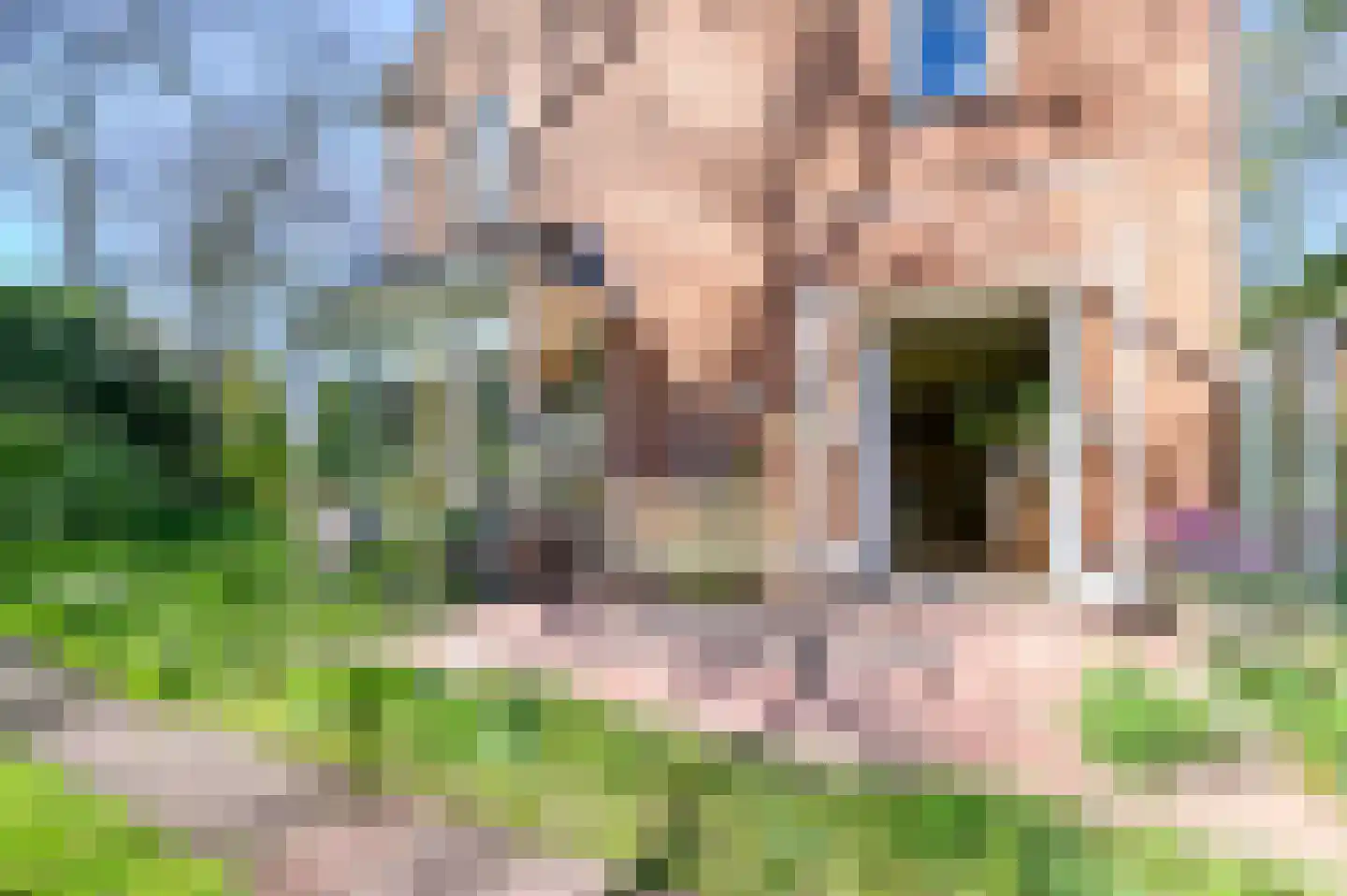 Willem de Zwijgerlaan 38 Santpoort-Zuid thumbnail 39