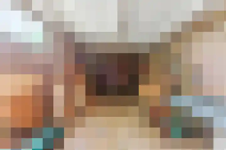Willem de Zwijgerlaan 39 Dordrecht thumbnail 41