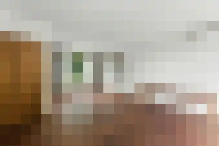 Willem de Zwijgerlaan 39 Dordrecht thumbnail 9