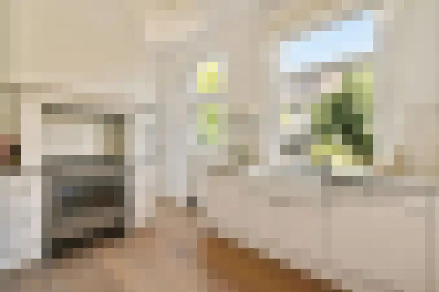 Willem de Zwijgerlaan 4 Oegstgeest thumbnail 14