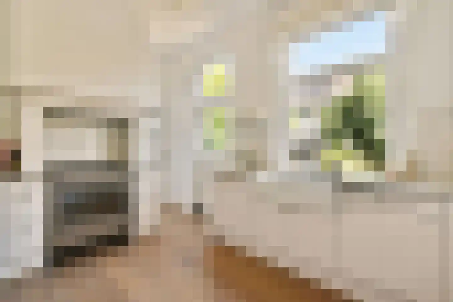 Willem de Zwijgerlaan 4 Oegstgeest thumbnail 15