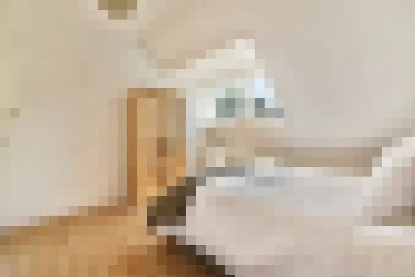 Willem de Zwijgerlaan 4 Oegstgeest thumbnail 18